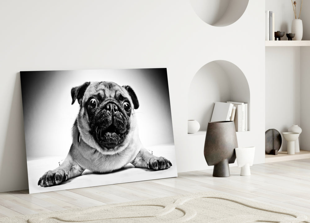 Pug glass wall art styled above a sofa in a character-rich living room
