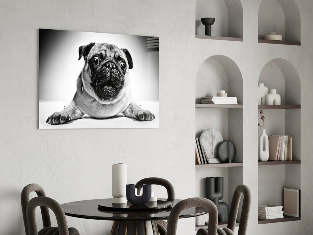 Pug glass print enhancing a hallway or entryway with friendly greeting
