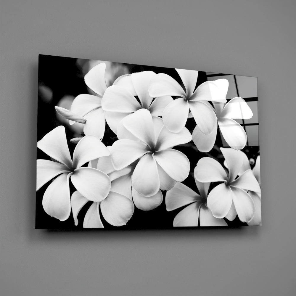 Close-up detail of the plumeria petals in sharp monochrome