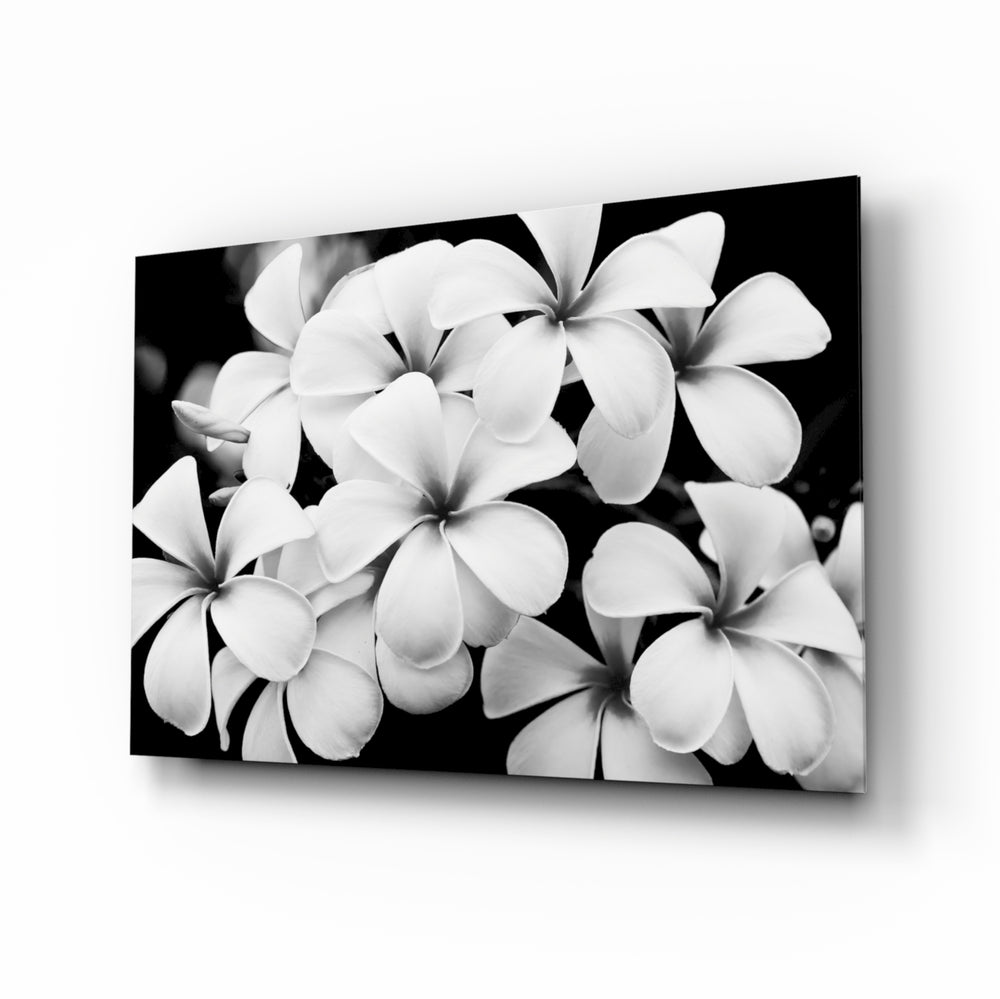 Black and white plumeria panel bringing botanical elegance to a contemporary living space