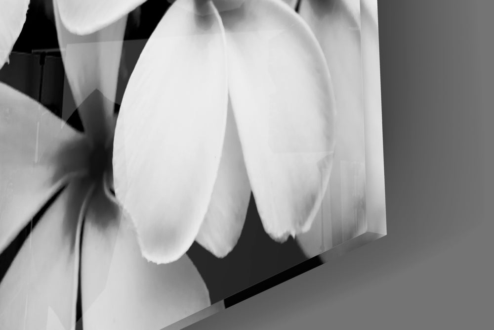 Flower panel catching soft light to reveal its tonal depth