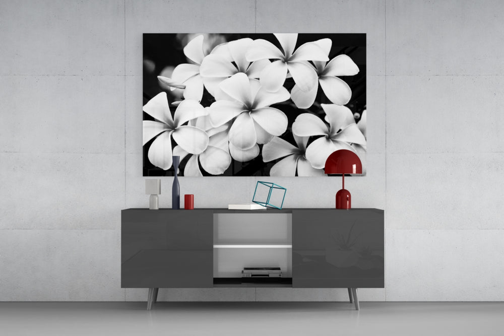 Fine art monochrome photography – cluster of plumeria frangipani blossoms with velvety petal detail against near-black background