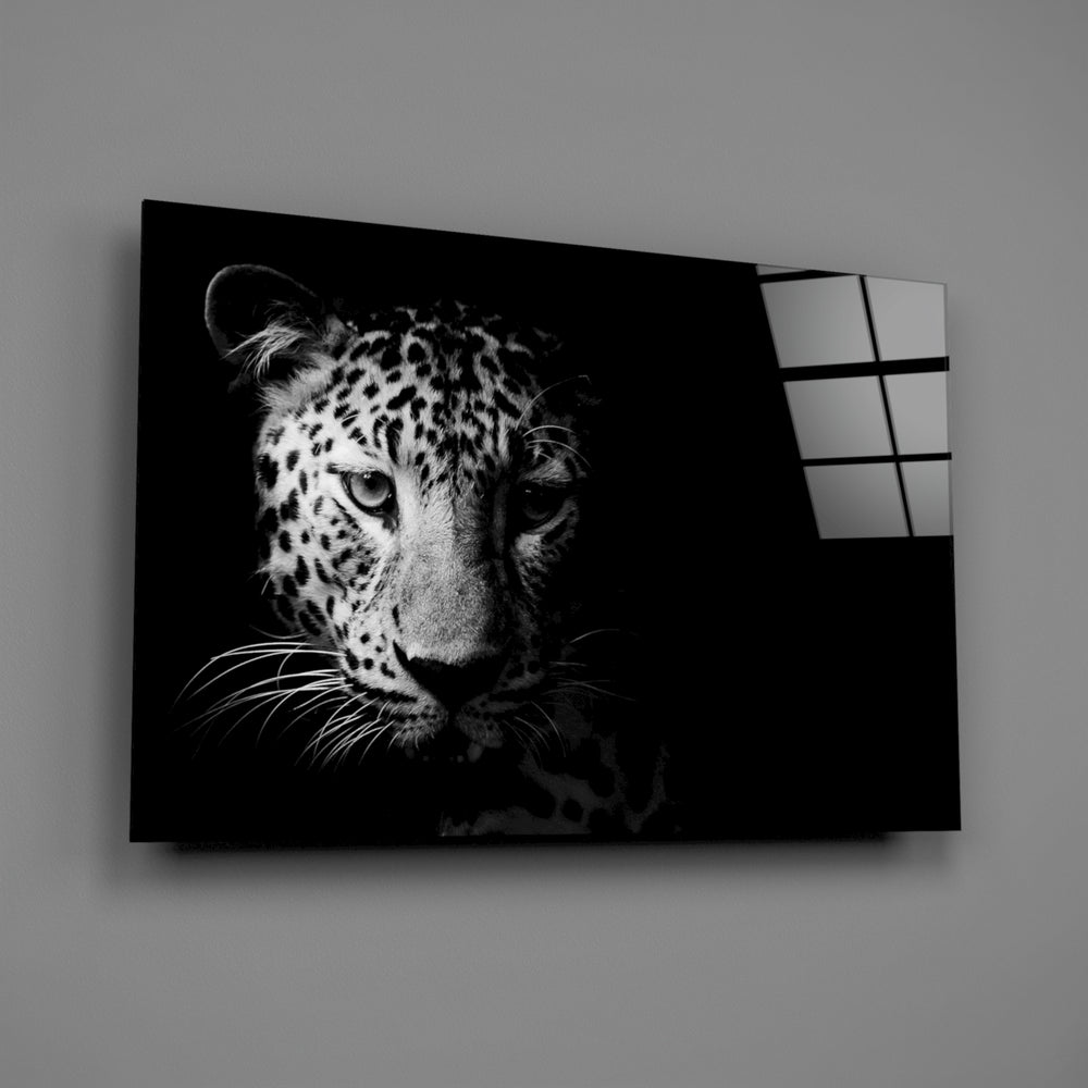 Close-up detail of the leopard's spotted face emerging from deep shadow