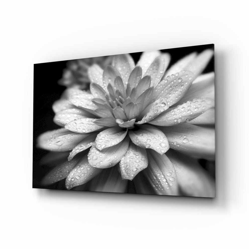 Black and white dahlia panel bringing refined detail to a contemporary living space