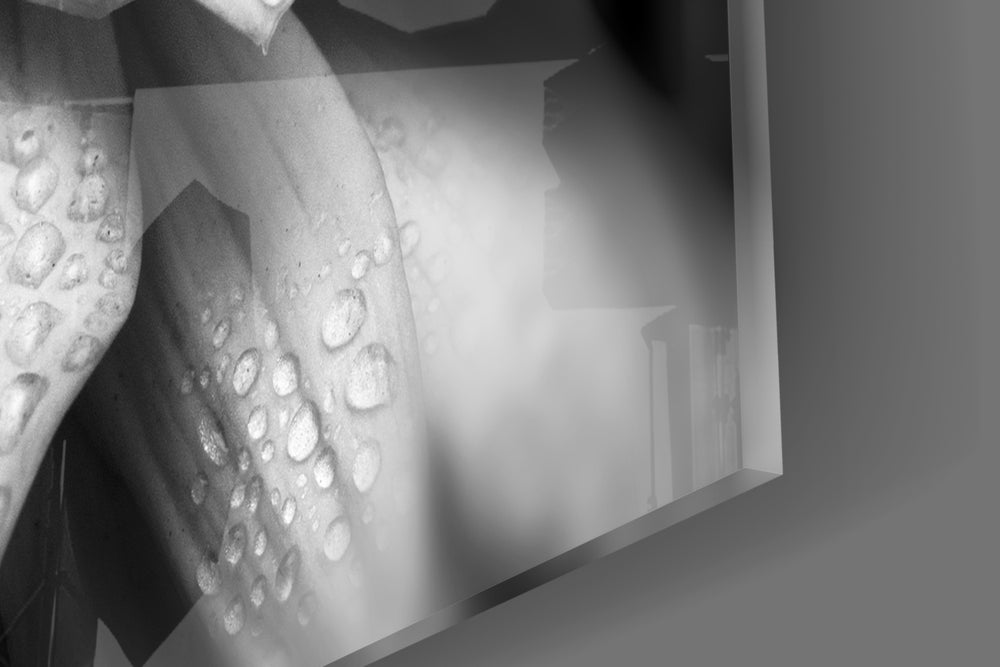 Flower panel catching soft light to reveal its tonal spiral