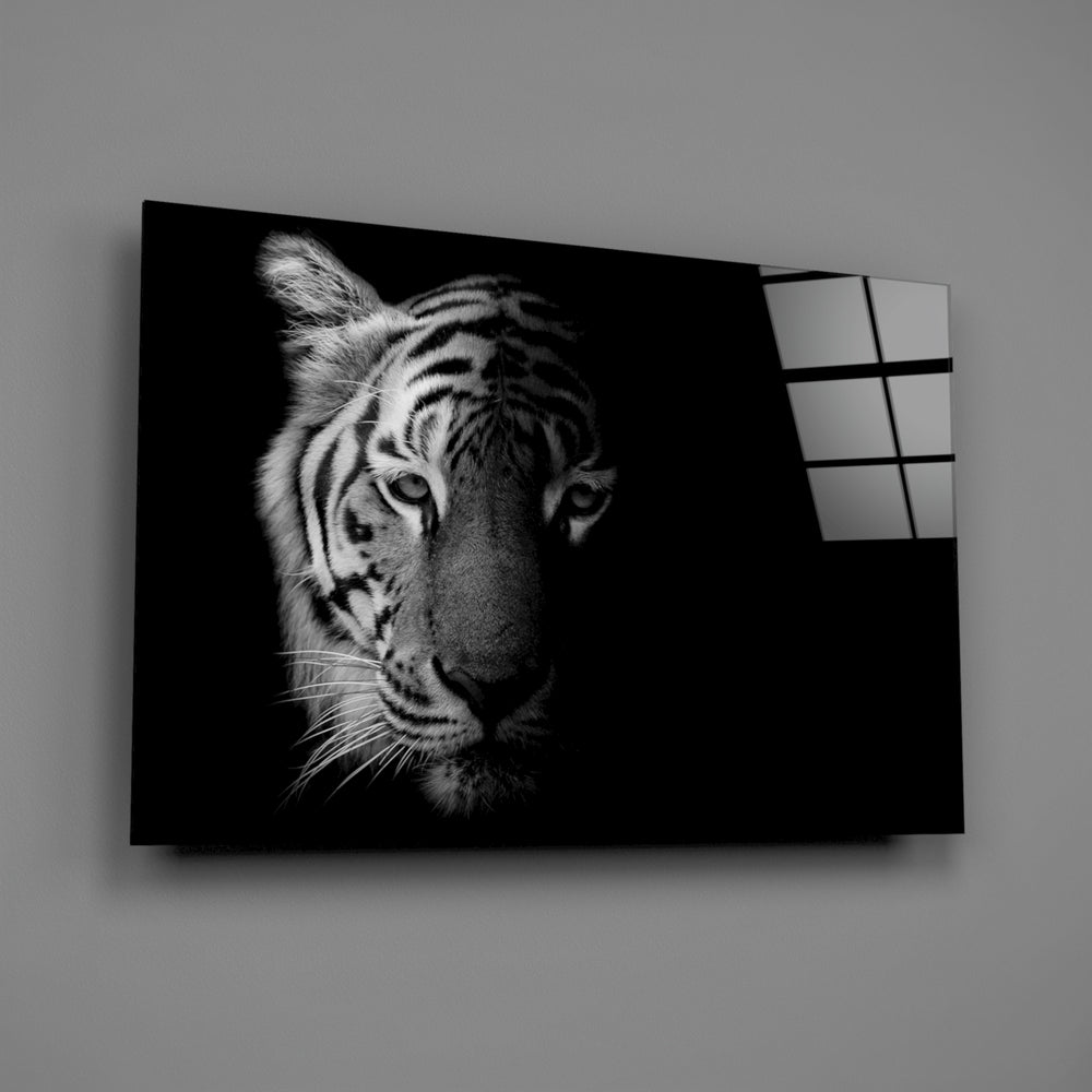 Close-up detail of the tiger's striped face emerging from deep shadow