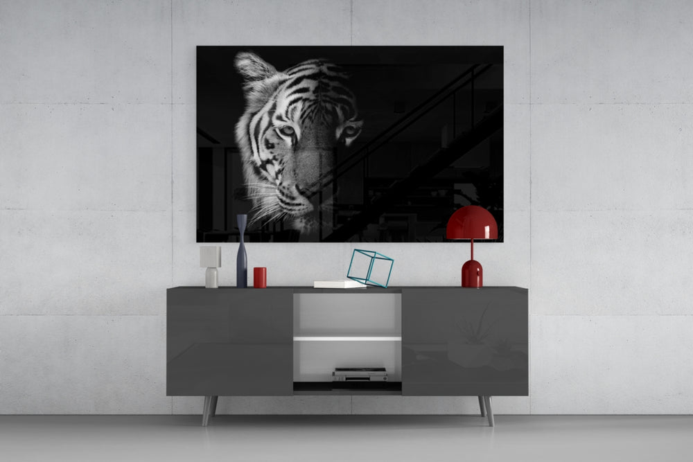 Fine art wildlife photography – striking half-face portrait of tiger with bold black stripes on white coat, powerful gaze from dark background