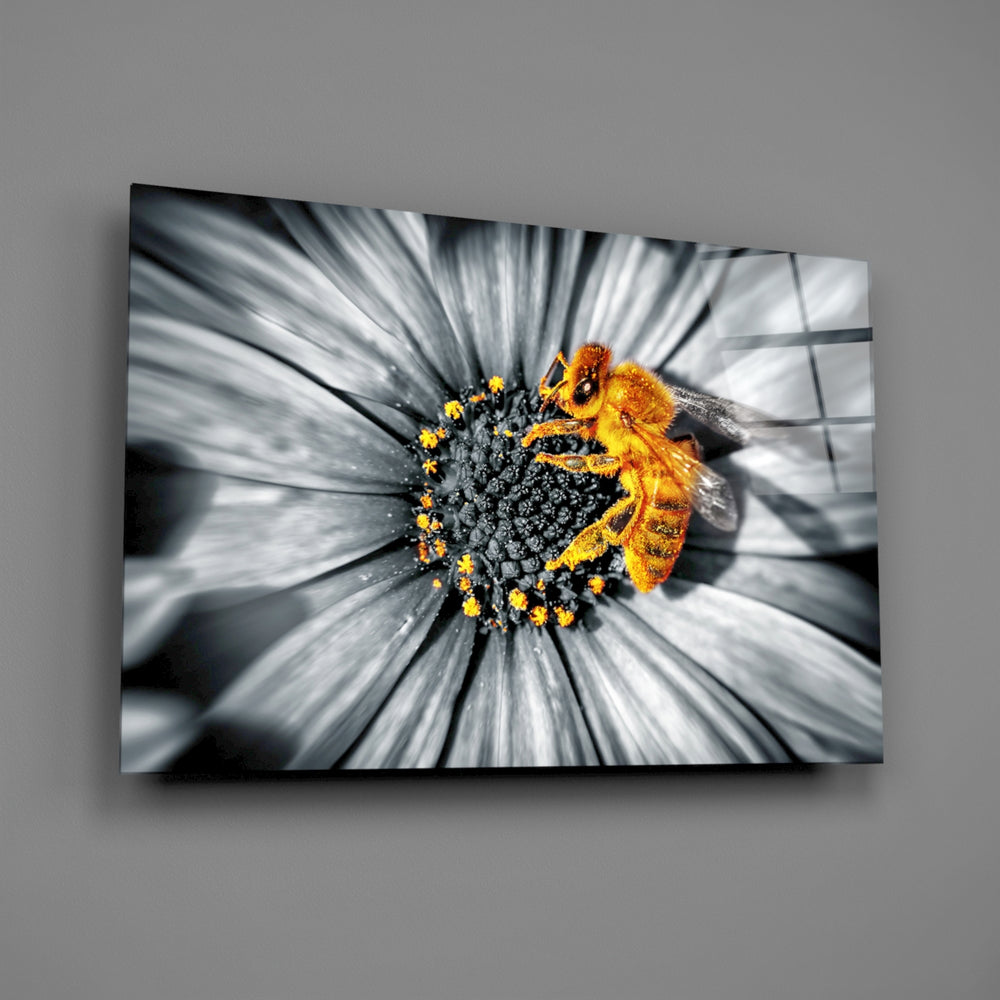 Close-up detail of the amber honey bee on a grayscale flower