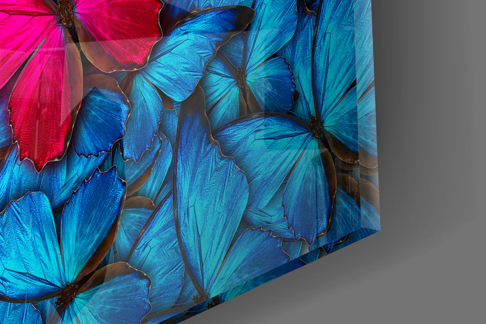 Butterfly panel catching ambient light to reveal its iridescent palette