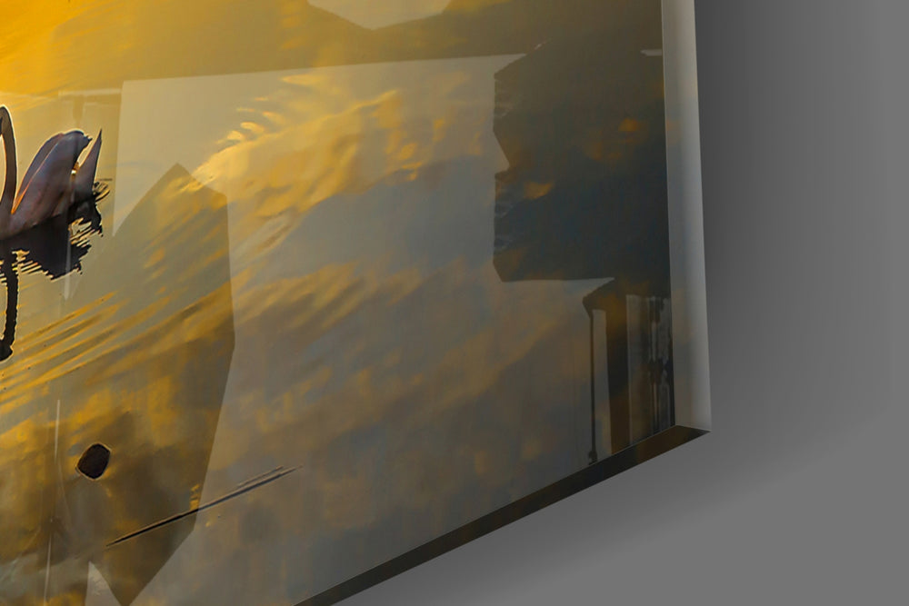 Swan panel catching warm light to reveal its golden palette