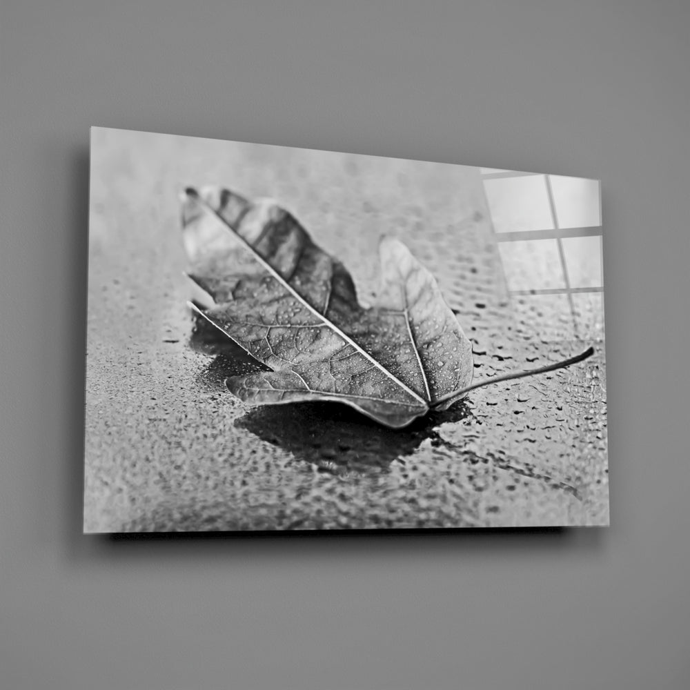 Close-up detail of the dry leaf on a wet reflective ground