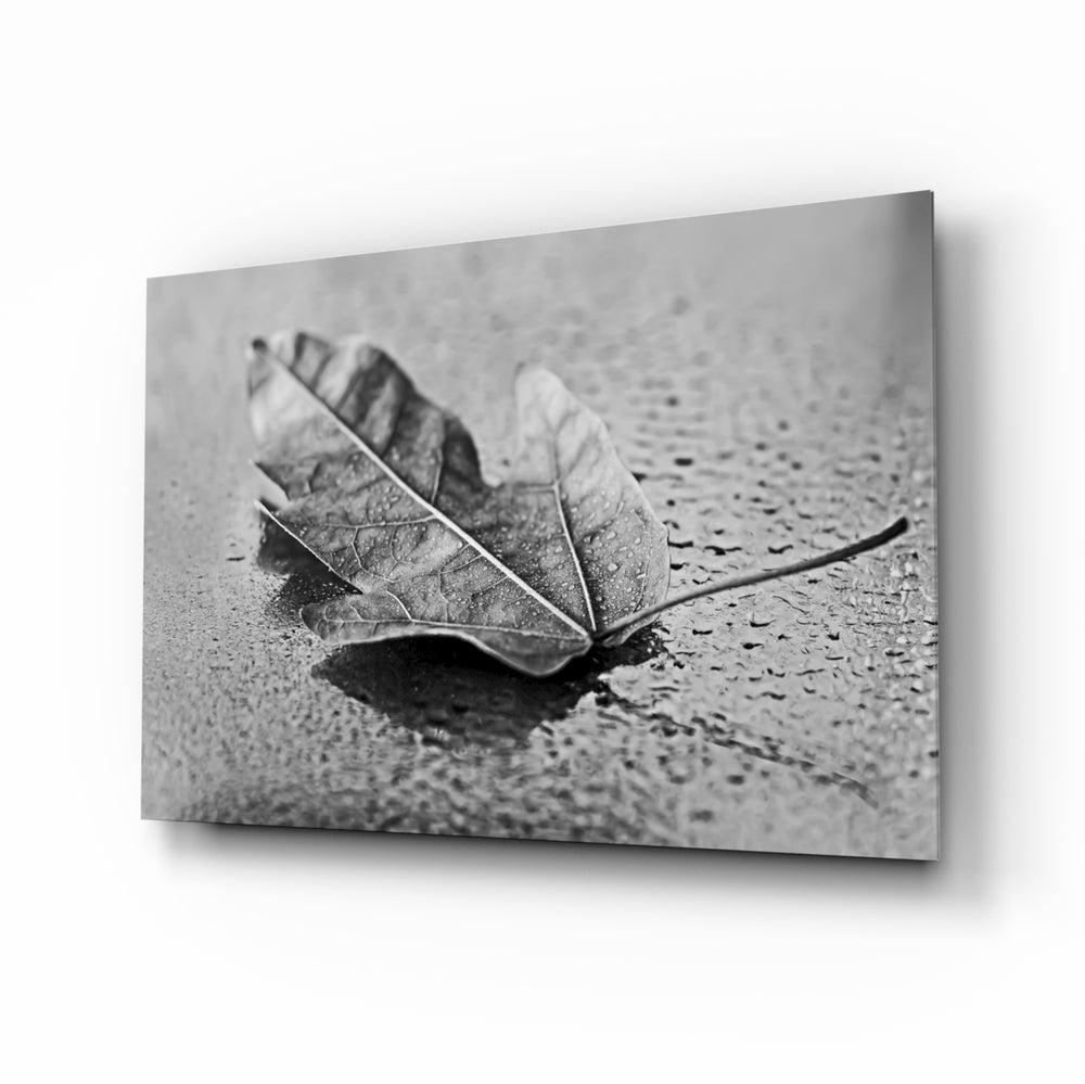 Monochrome leaf panel bringing quiet detail to a contemporary living space