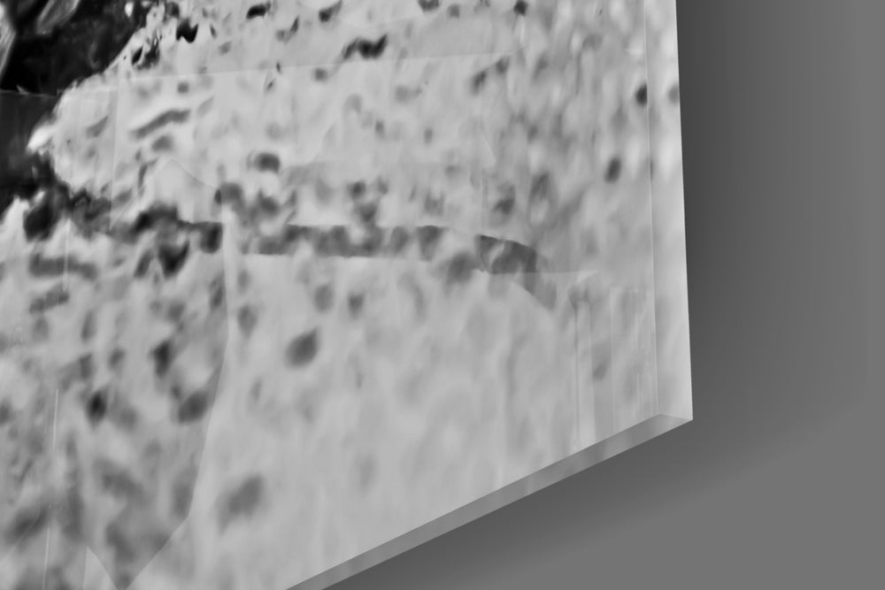 Leaf panel catching side light to reveal its fine tonal detail