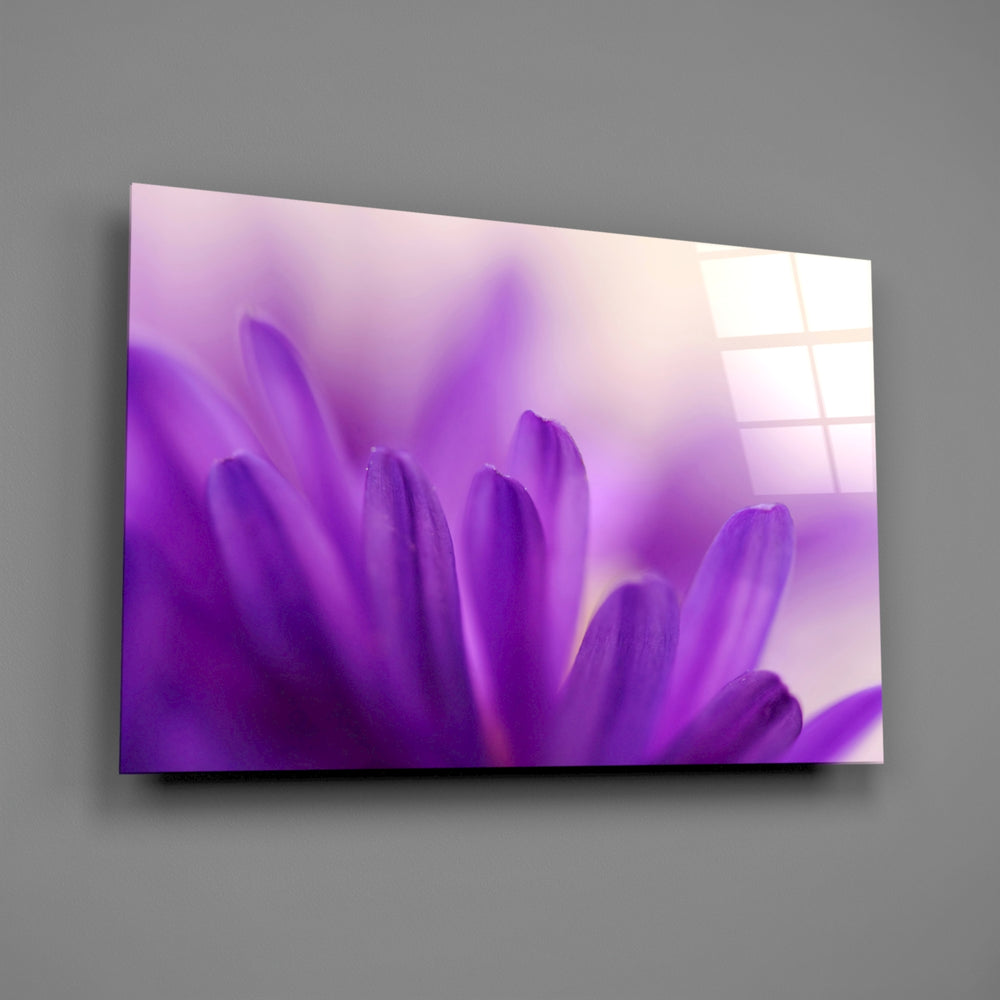 Close-up detail of violet petals against cream bokeh