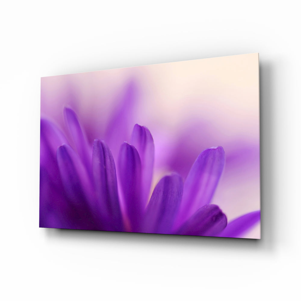 Purple macro bloom panel bringing pastel calm to a contemporary living space
