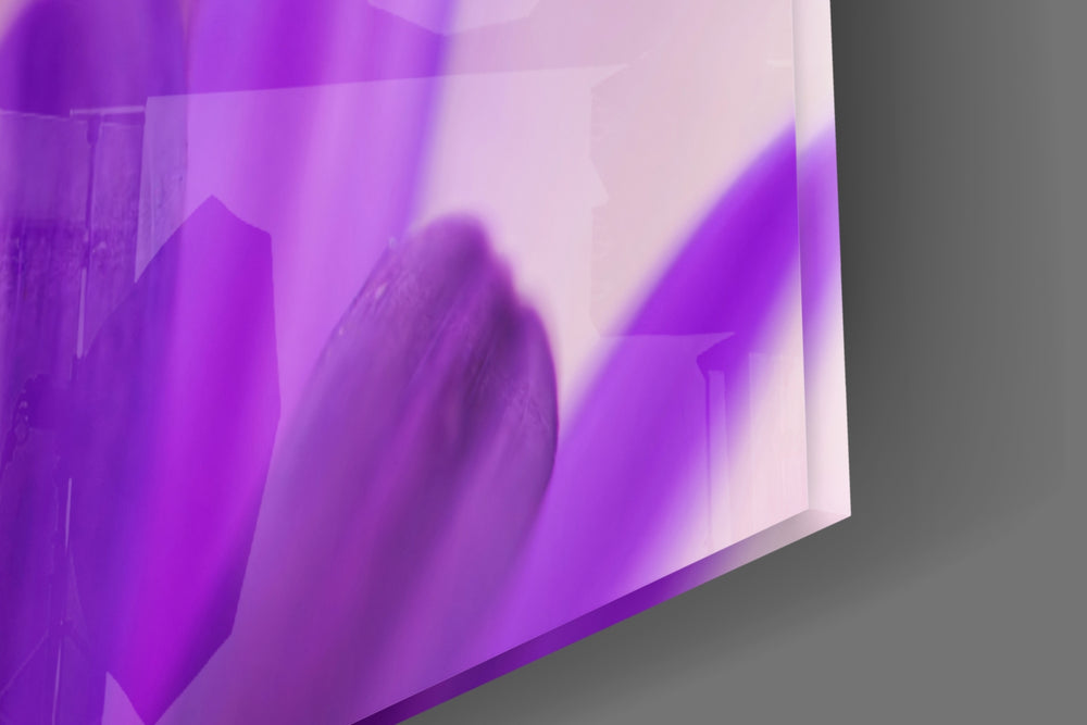 Flower panel catching daylight to reveal its violet palette