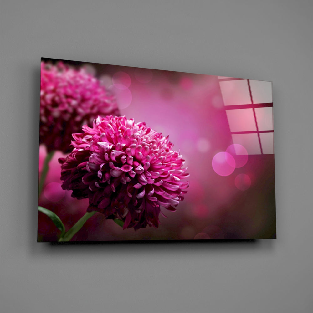 Close-up detail of magenta chrysanthemum petals against pink bokeh