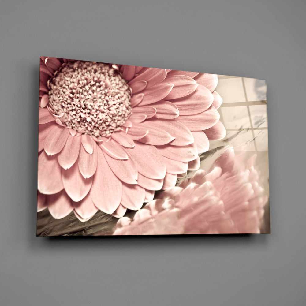 Close-up detail of the pink gerbera in warm sepia tones
