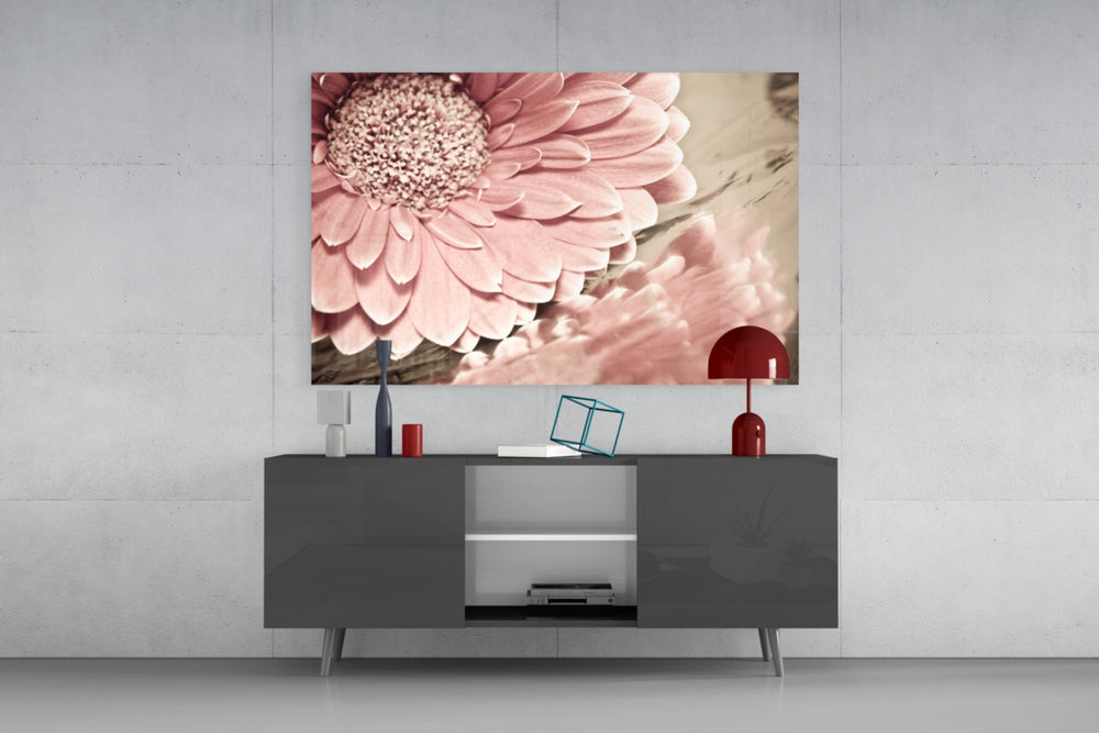 Fine art macro photography – soft pink gerbera daisy and its water reflection in warm vintage tones with delicate petal detail