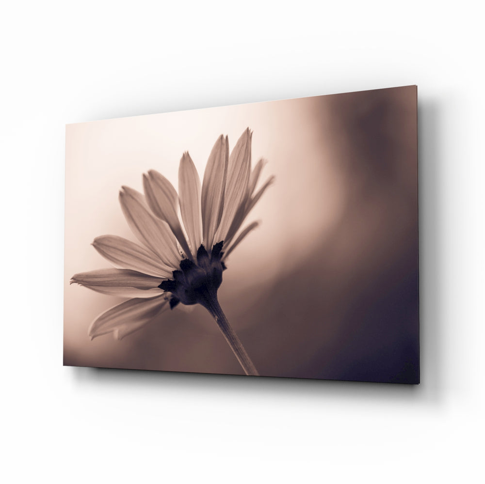 Sepia daisy panel bringing refined restraint to a contemporary living space