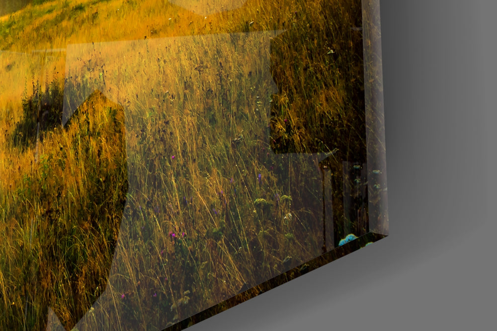 Mountain panel catching morning light to reveal its warm palette