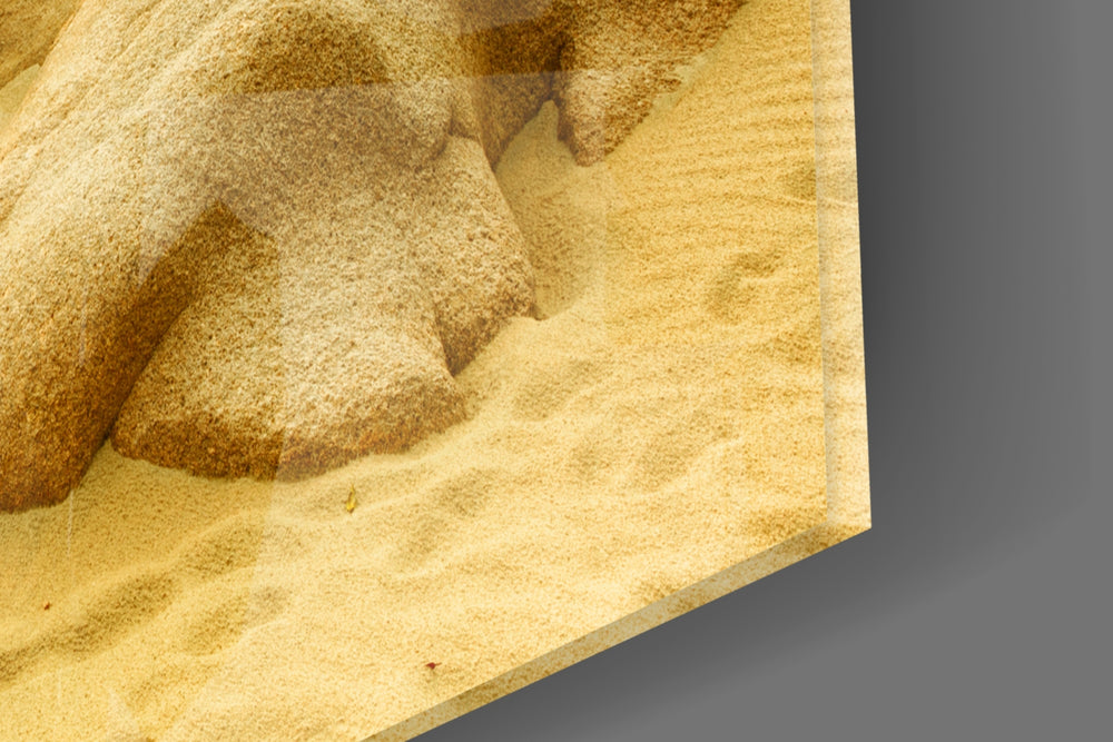 Beach panel catching daylight to reveal its warm shoreline palette