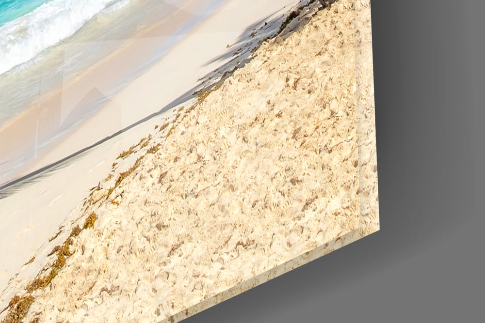 Holiday panel catching daylight to reveal its turquoise palette