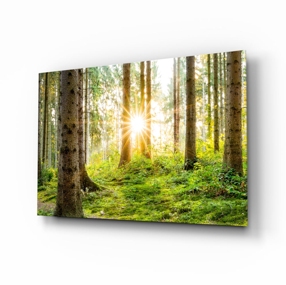 Forest sunbeam panel bringing biophilic calm to a contemporary living space