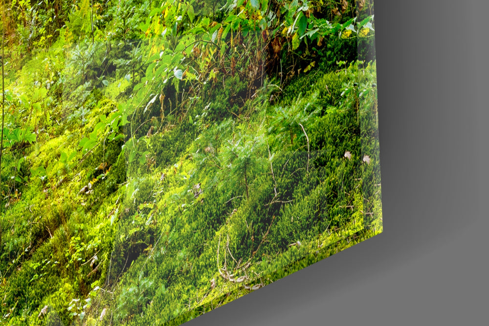 Forest panel catching daylight to reveal its sunbeam detail