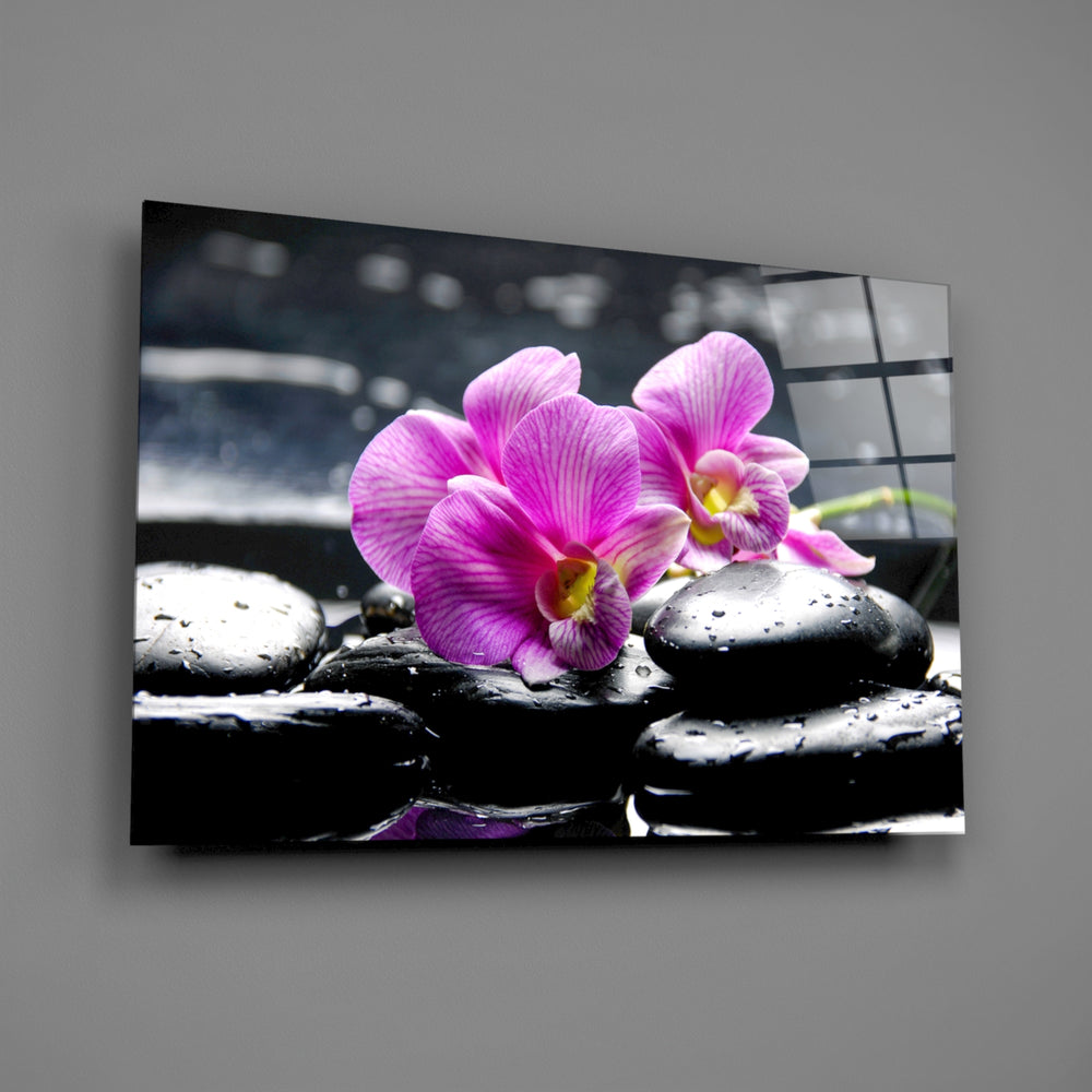Close-up detail of the pink orchids on wet black spa stones