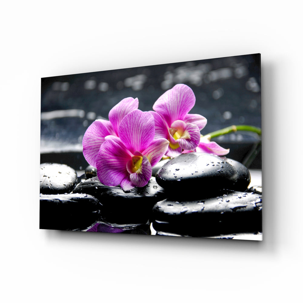 Pink orchid spa panel bringing wellness calm to a contemporary living space
