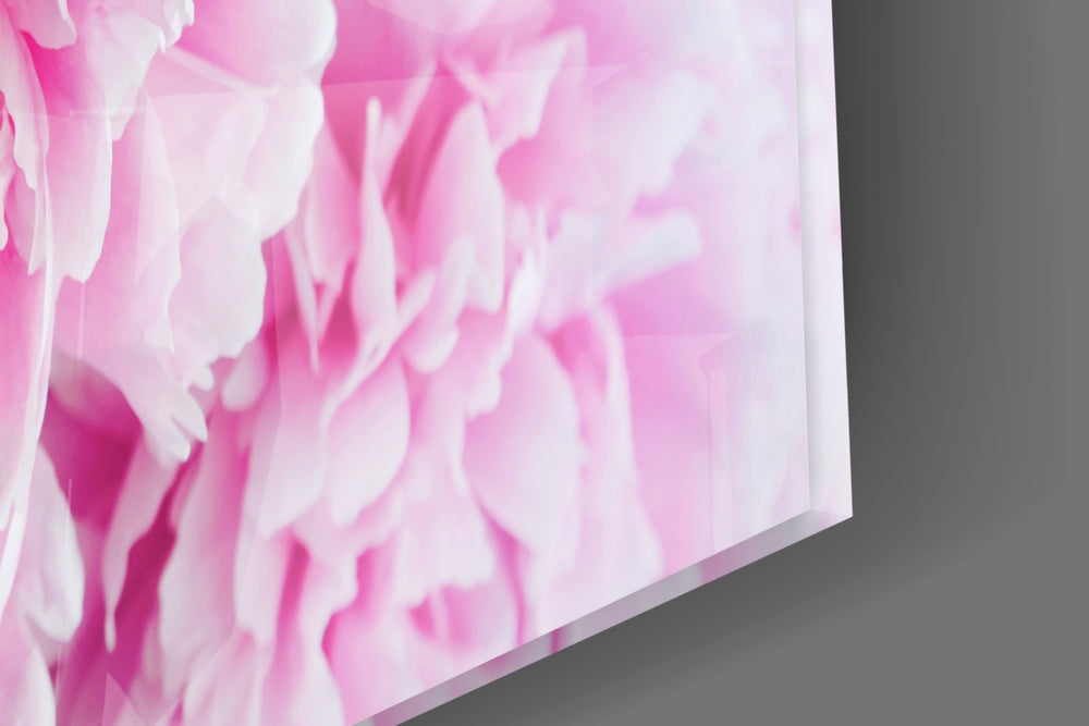 Flower panel catching window light to reveal its peony detail