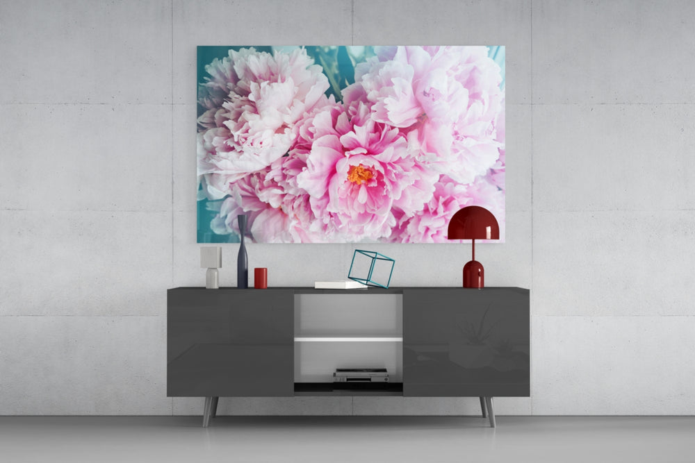 Fine art photography – abundant soft pink peonies with full open blooms and ruffled petals against vivid teal background
