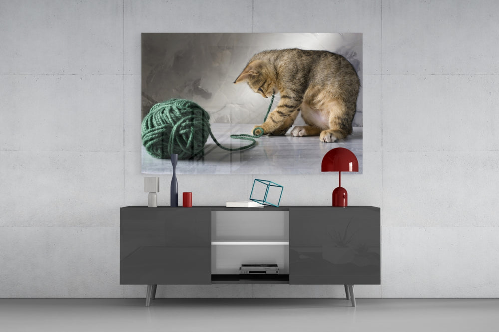 Cat panel catching soft light to reveal its fur detail