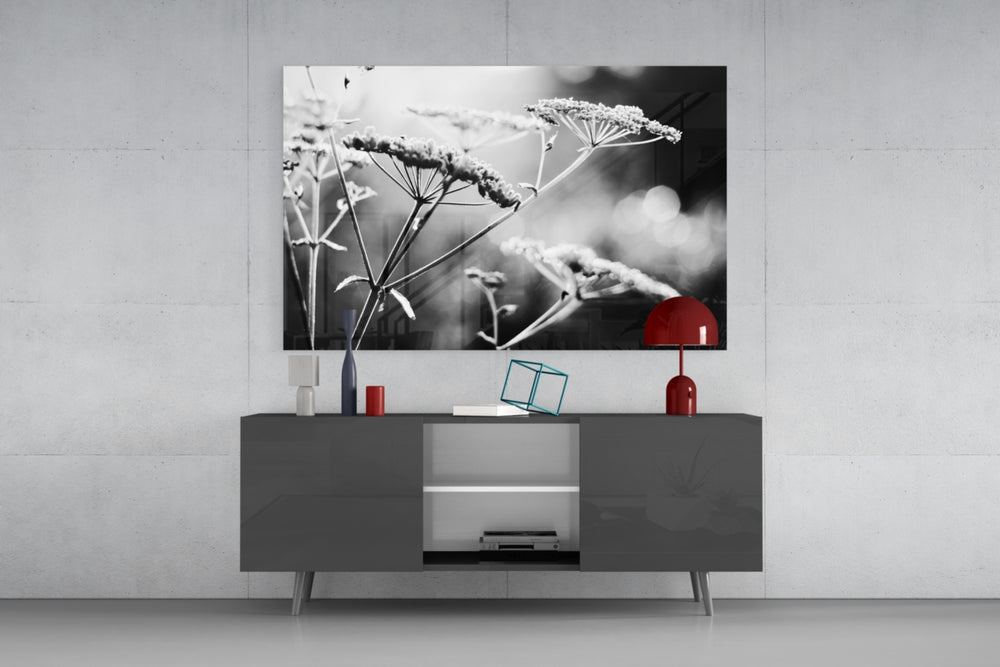 Flower panel catching backlit daylight to reveal its silhouette detail