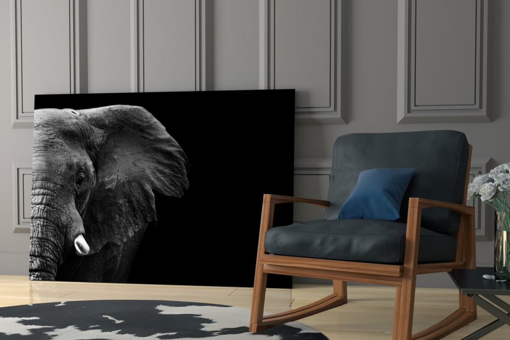 Elephant glass print enhancing a hallway with wildlife presence