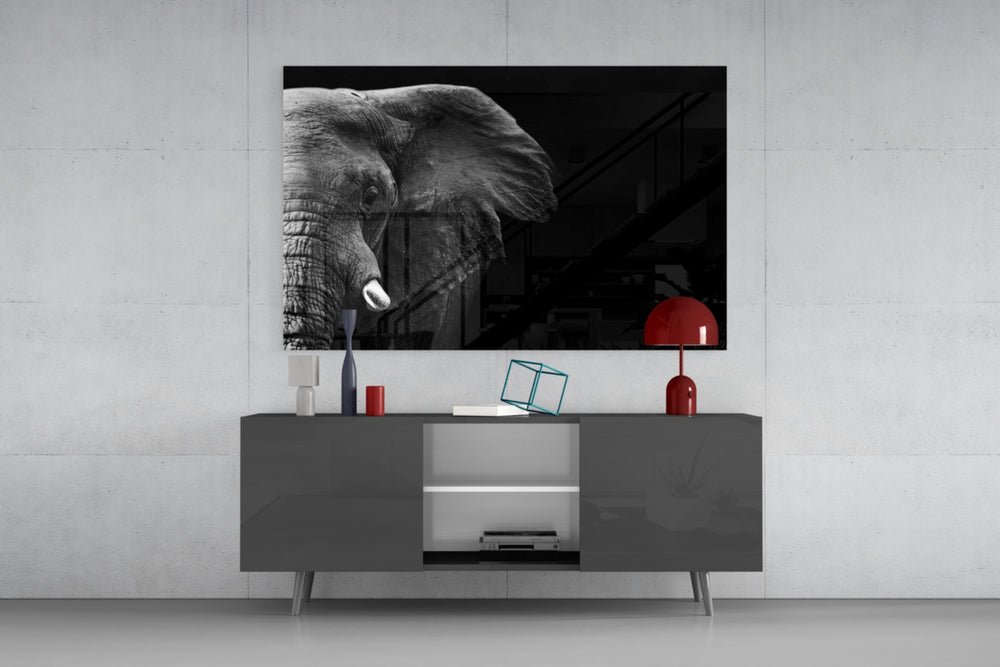 Elephant panel catching side light to reveal its photographic depth
