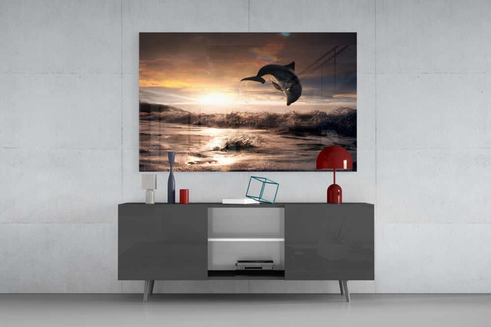 Dolphin panel catching warm light to reveal its sunset palette