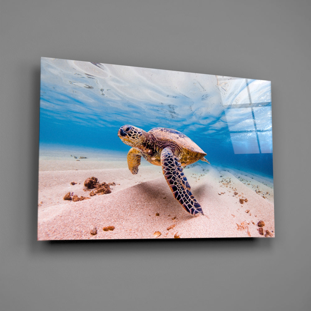 Underwater turtle panel bringing aquatic calm to a contemporary living space