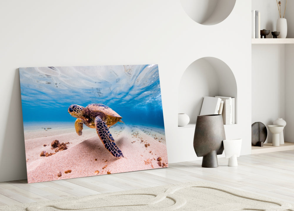 Close-up detail of the sea turtle's patterned shell above rippled sand