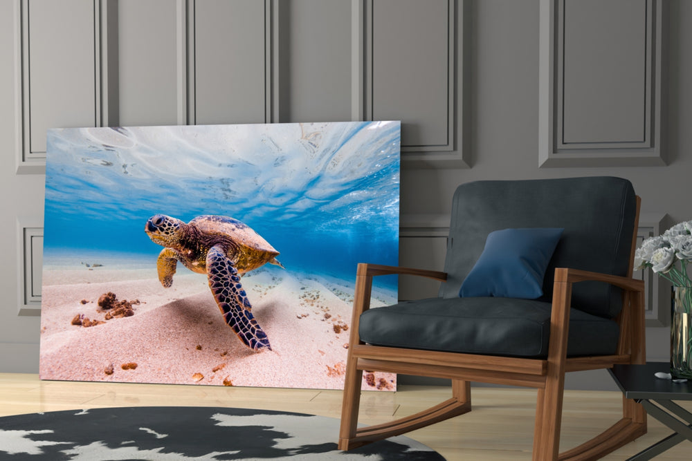 Sea Turtle glass print enhancing a family room with gentle wildlife