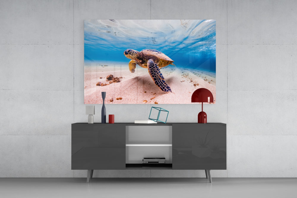 Sea Turtle panel catching soft light to reveal its turquoise depth
