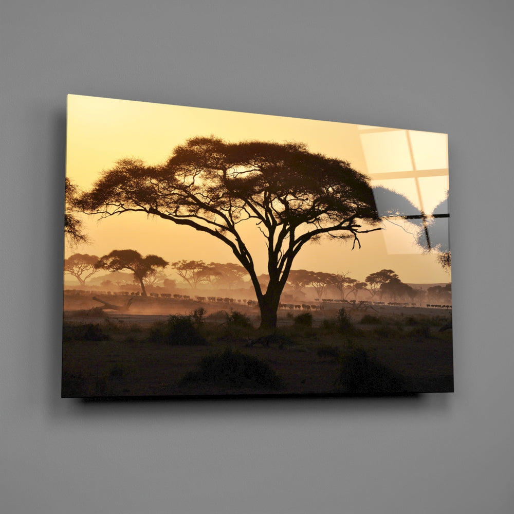Savanna acacia panel bringing safari warmth to a contemporary living space