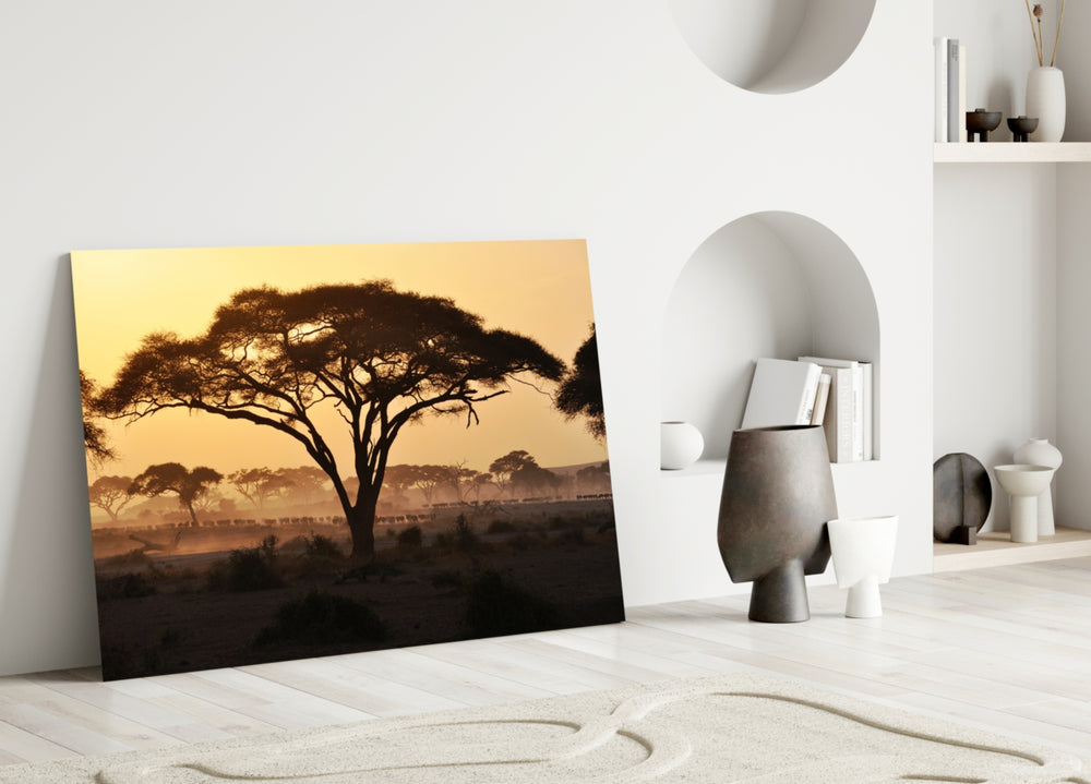 Close-up detail of the acacia silhouette against amber dusk