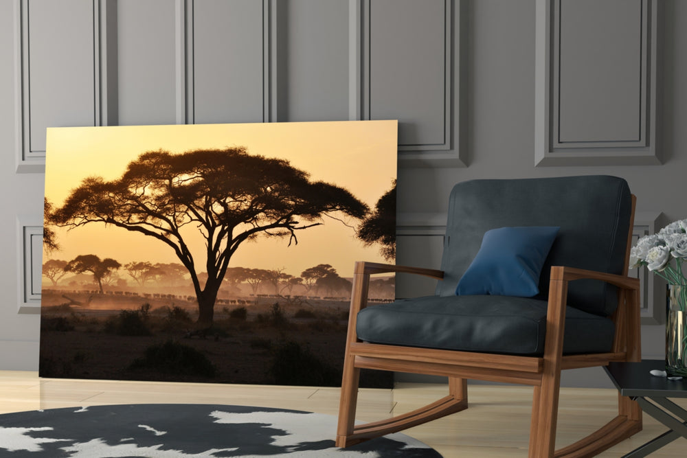Tree glass print enhancing a hallway with golden-hour warmth