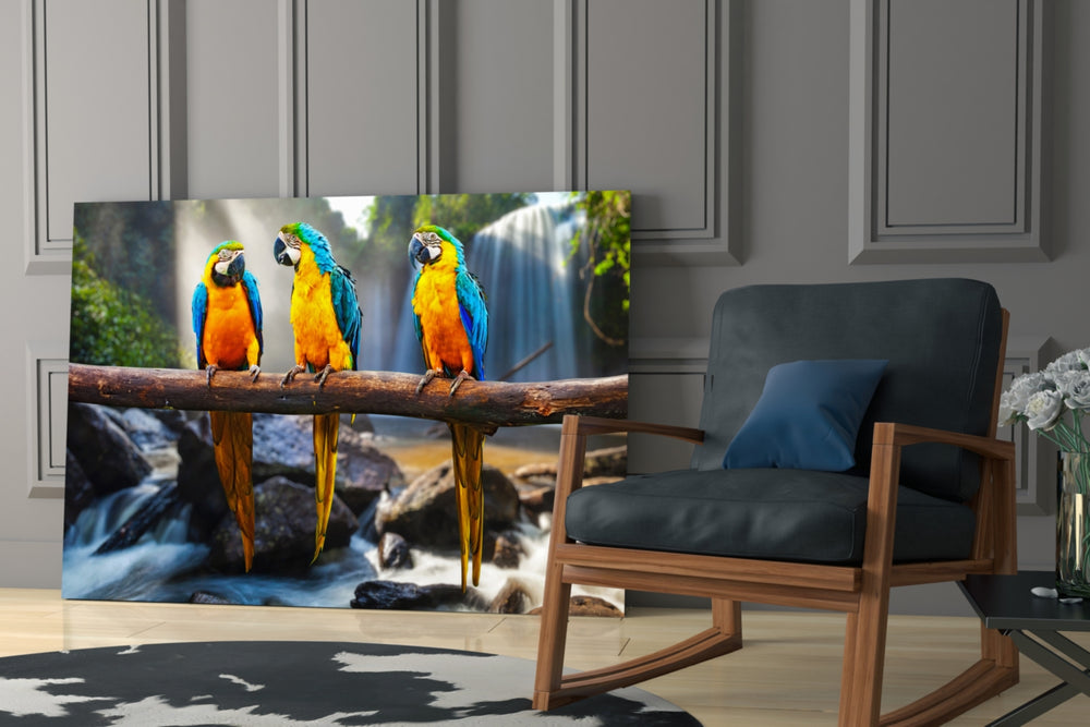 Parrots glass print enhancing a hallway with vacation energy