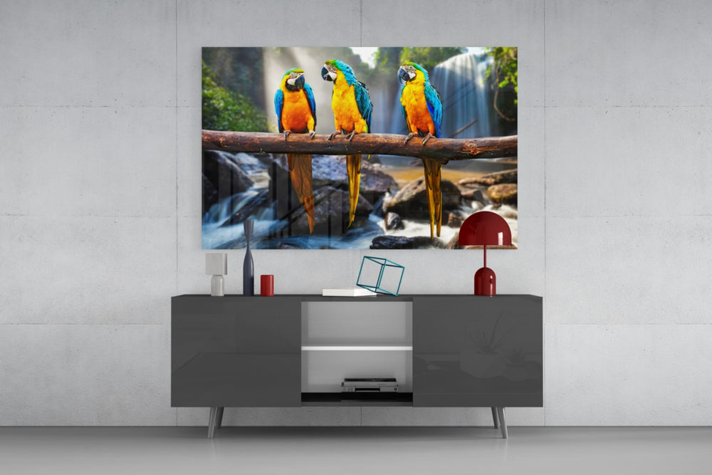 Parrots panel catching warm light to reveal its jewel-tone plumage