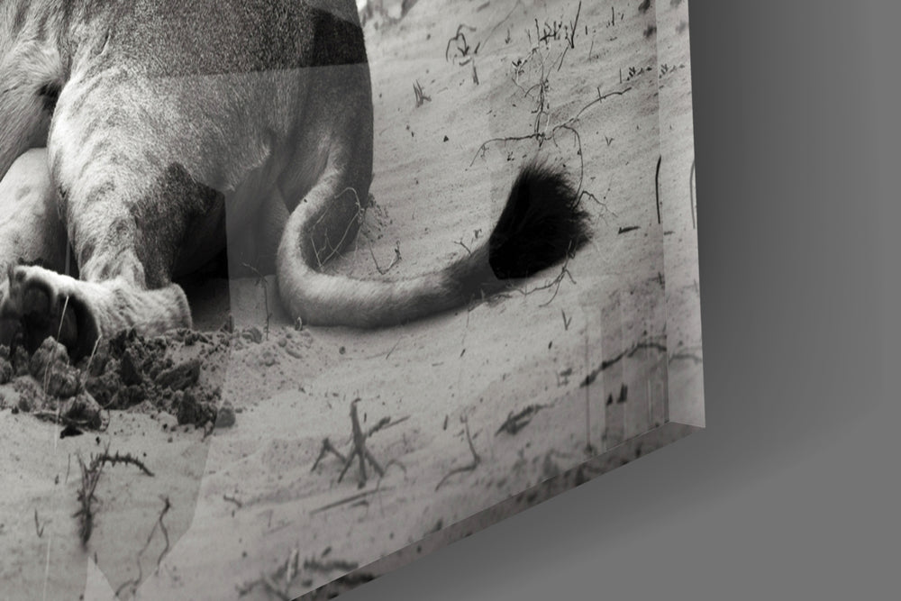 Lioness artwork anchoring a library with monochrome palette