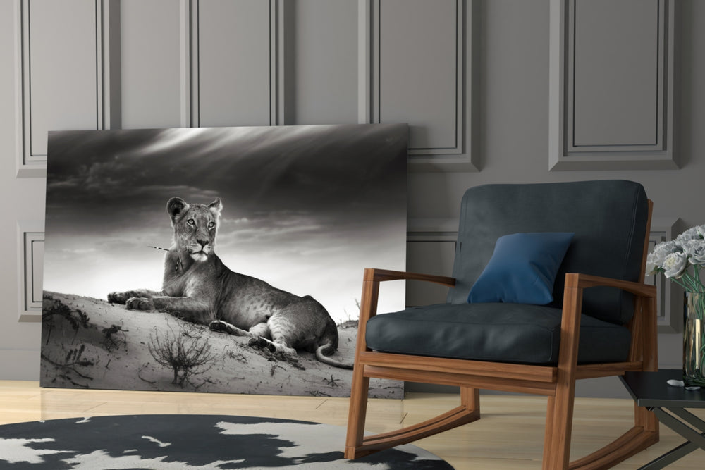 Lioness glass print enhancing a hallway with steady gaze