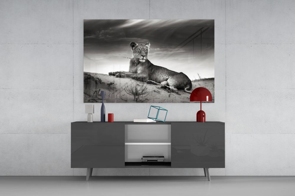 Lioness panel catching low light to reveal its tonal subtlety
